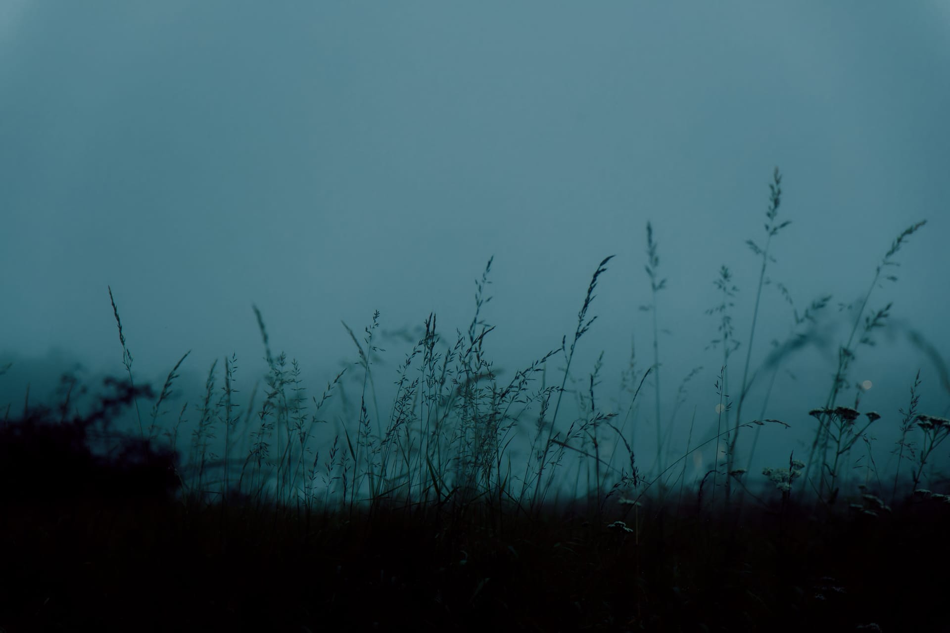 Memories by Ebba