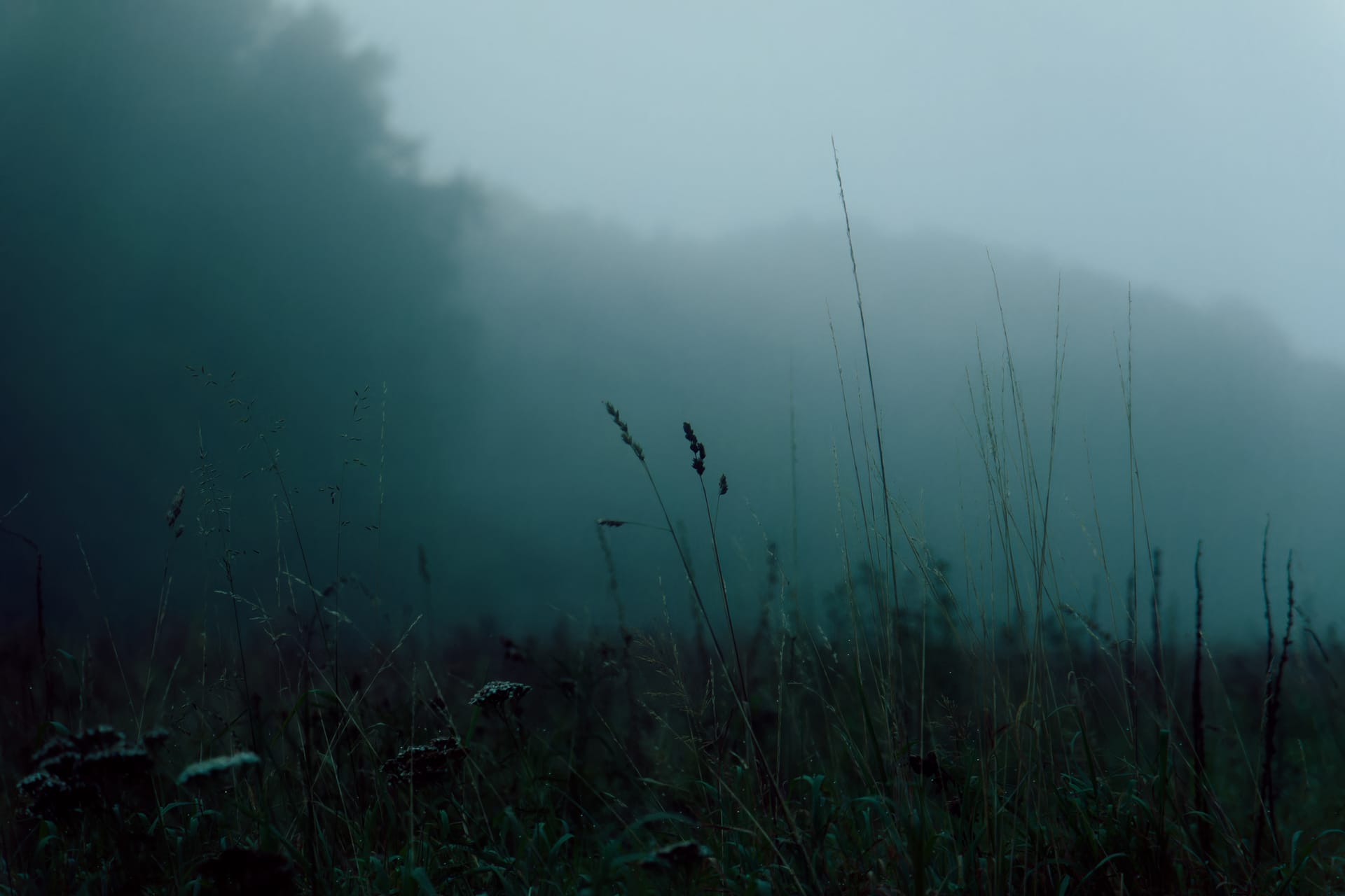 Memories by Ebba