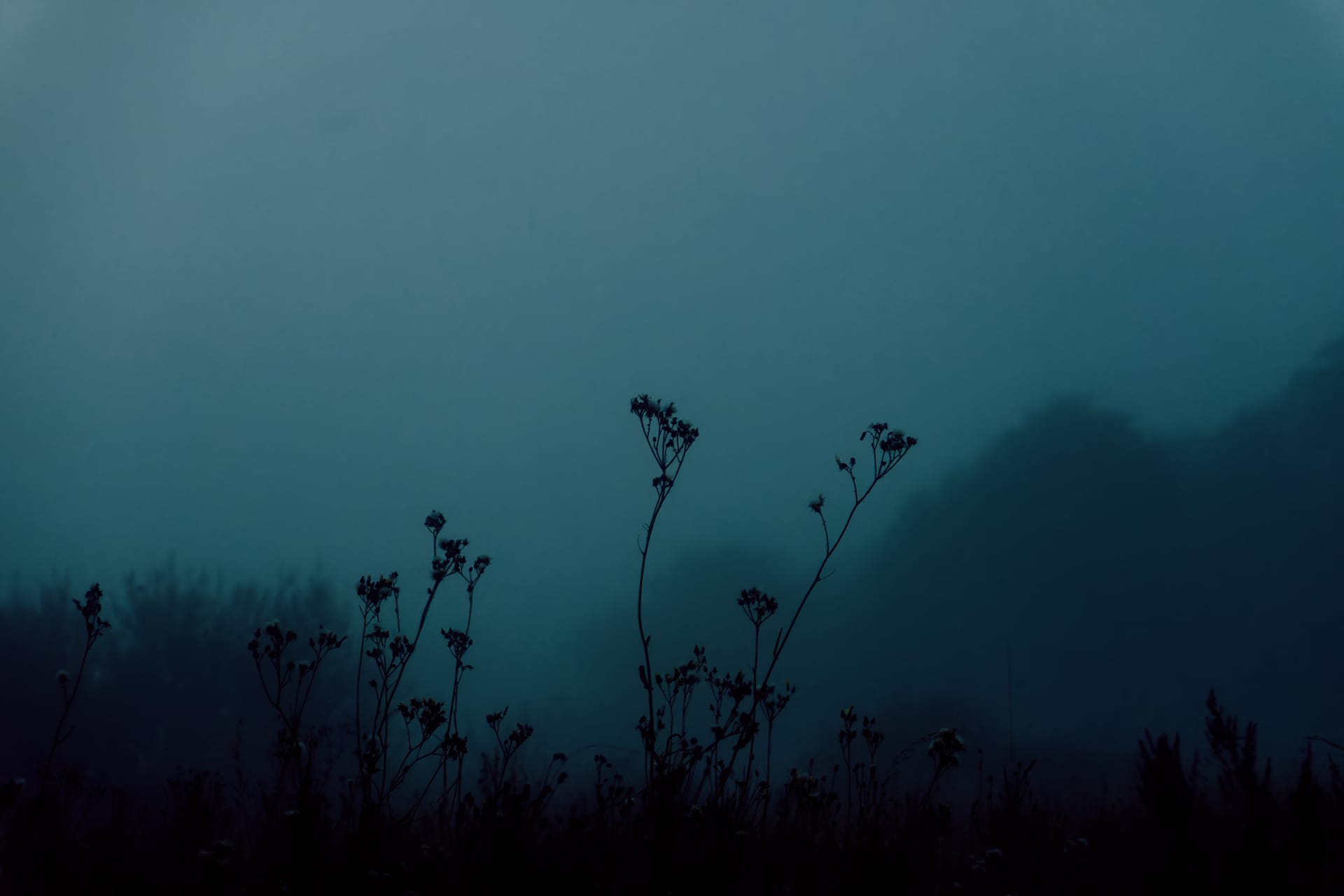 Memories by Ebba