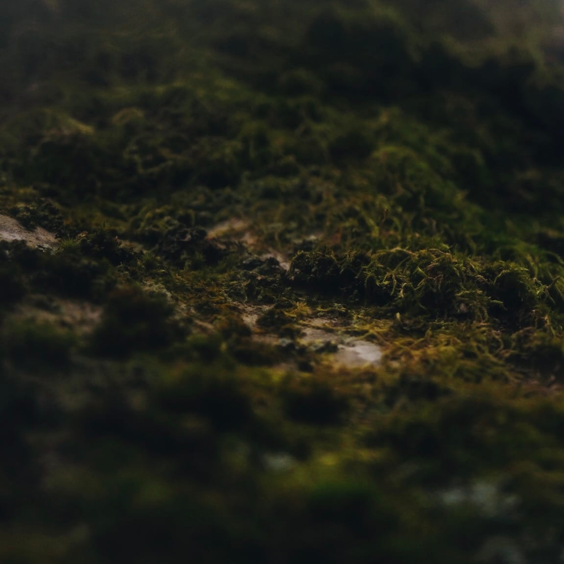 What photography has taught me